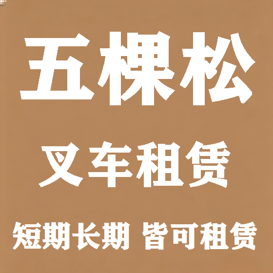 北京五棵松叉车租赁图