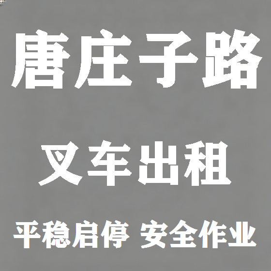 北京唐庄子路叉车租赁图
