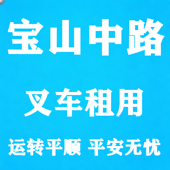 北京宝山中路叉车租赁图