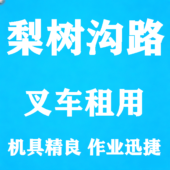 北京梨树沟路叉车租赁图