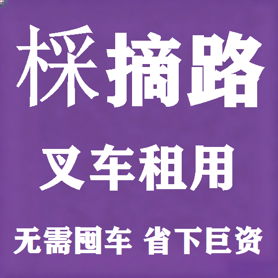 北京棌摘路叉车租赁图