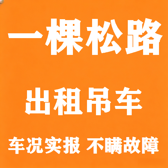 北京一棵松路吊车租赁图