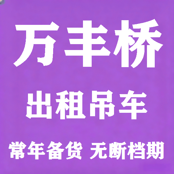 北京万丰桥吊车租赁图