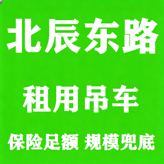 北京北辰东路吊车租赁图