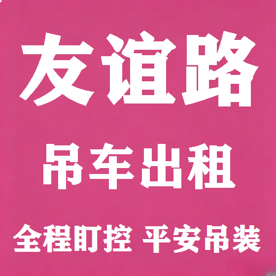北京友谊路吊车租赁图
