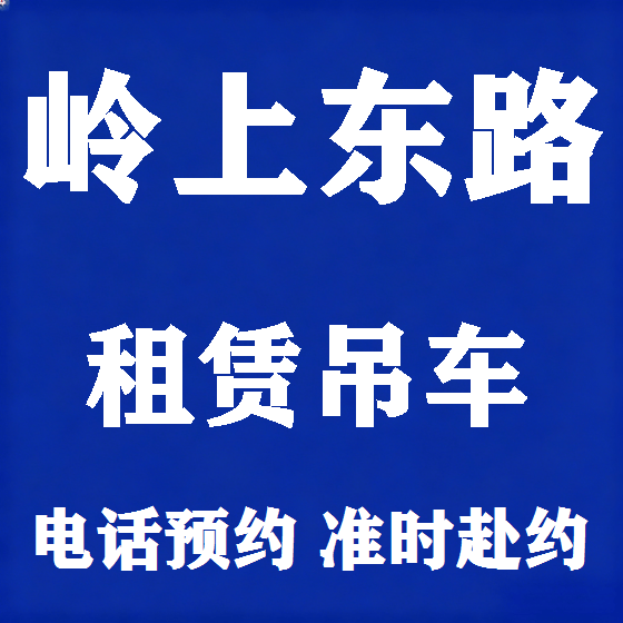 北京岭上东路吊车租赁图