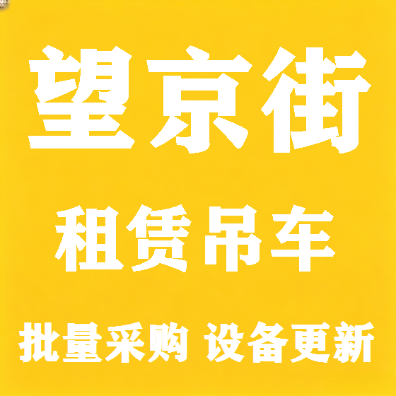 北京望京街吊车租赁图