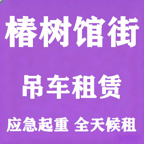 北京椿树馆街吊车租赁图