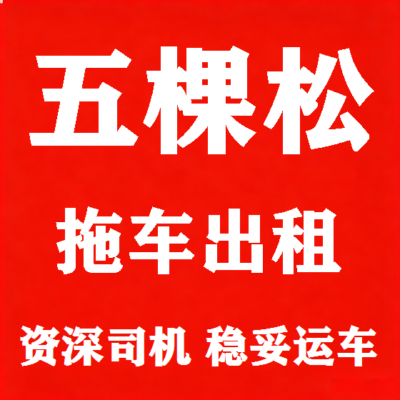 北京五棵松拖车救援租赁图