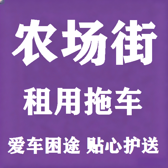 北京农场街拖车救援租赁图