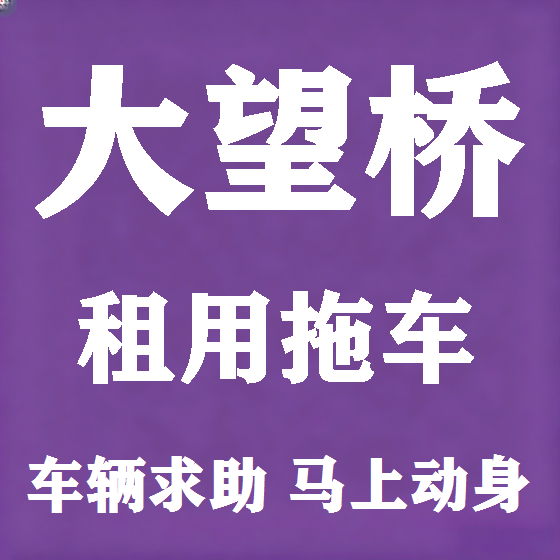 北京大望桥拖车救援租赁图