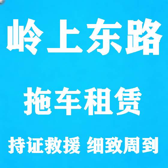 北京岭上东路拖车救援租赁图