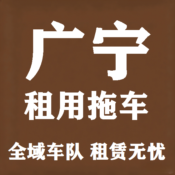 北京广宁拖车救援租赁图
