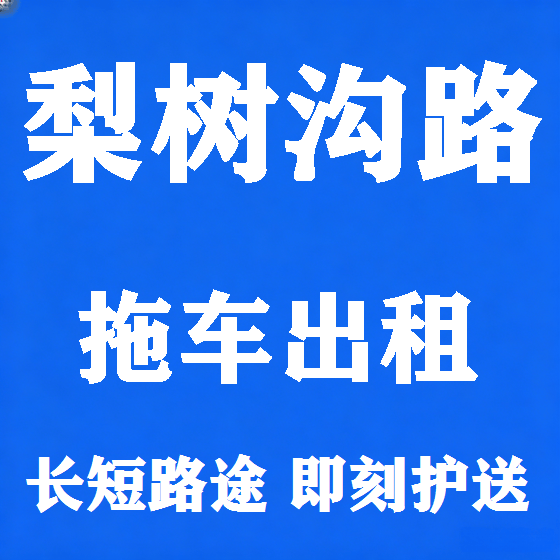 北京梨树沟路拖车救援租赁图