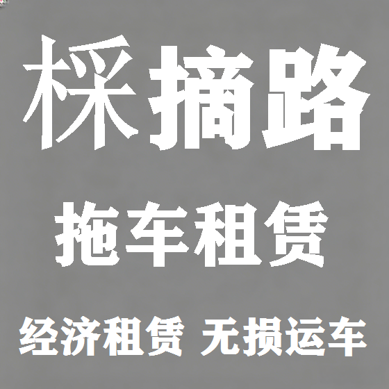 北京棌摘路拖车救援租赁图