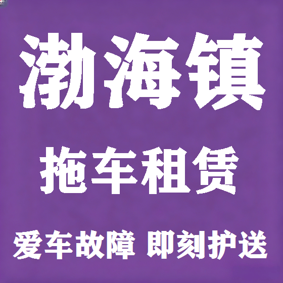 北京渤海镇拖车救援租赁图