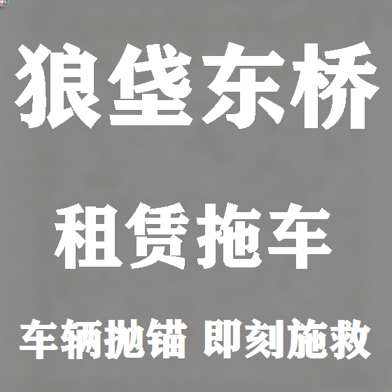 北京狼垡东桥拖车救援租赁图