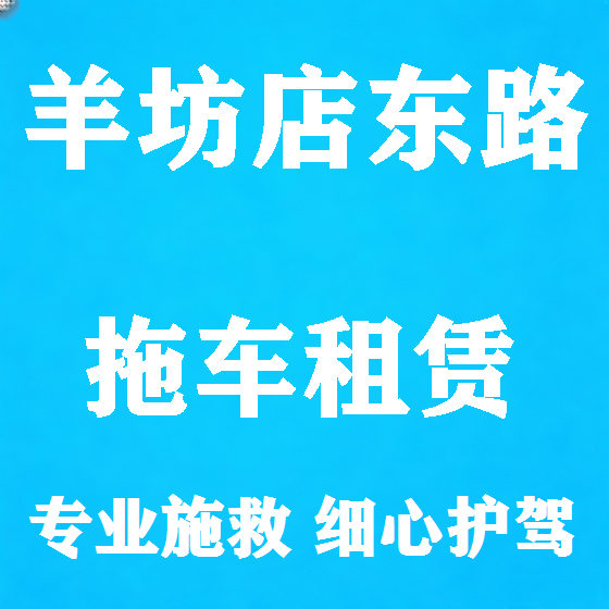 北京羊坊店东路拖车救援租赁图