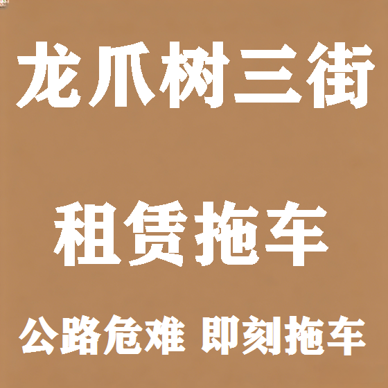 北京龙爪树三街拖车救援租赁图