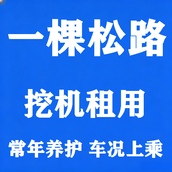 北京一棵松路挖机租赁图