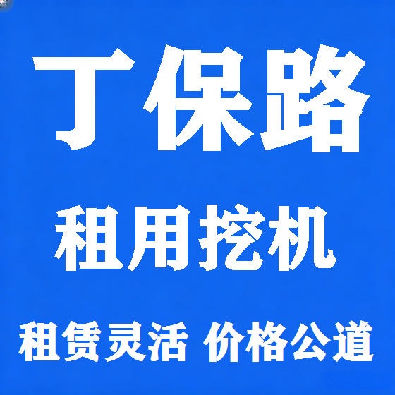 北京丁保路挖机租赁图