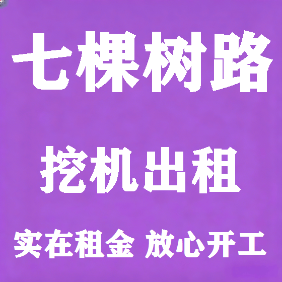 北京七棵树路挖机租赁图