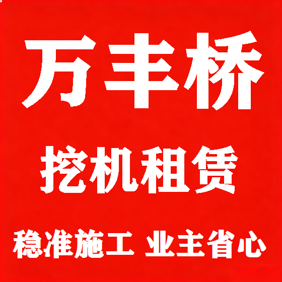 北京万丰桥挖机租赁图