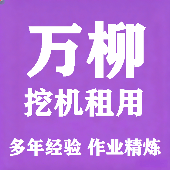 北京万柳挖机租赁图