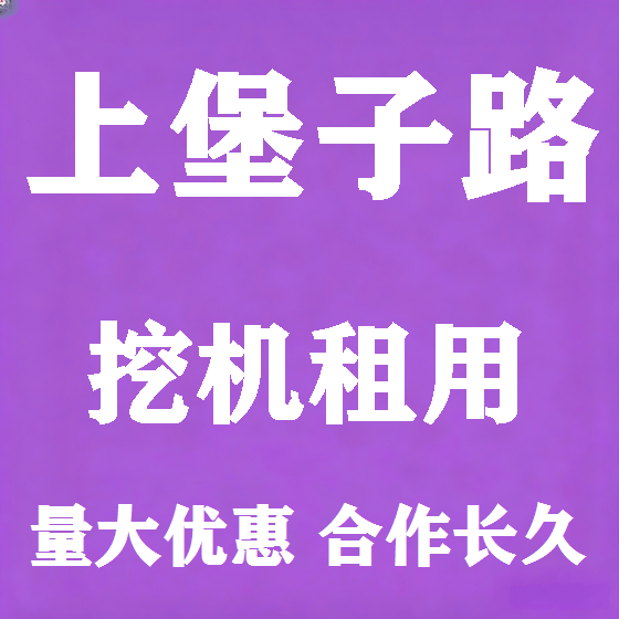 北京上堡子路挖机租赁图