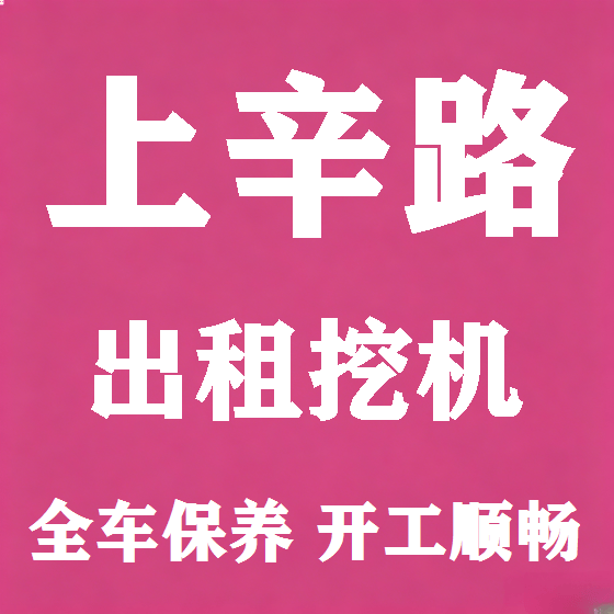 北京上辛路挖机租赁图