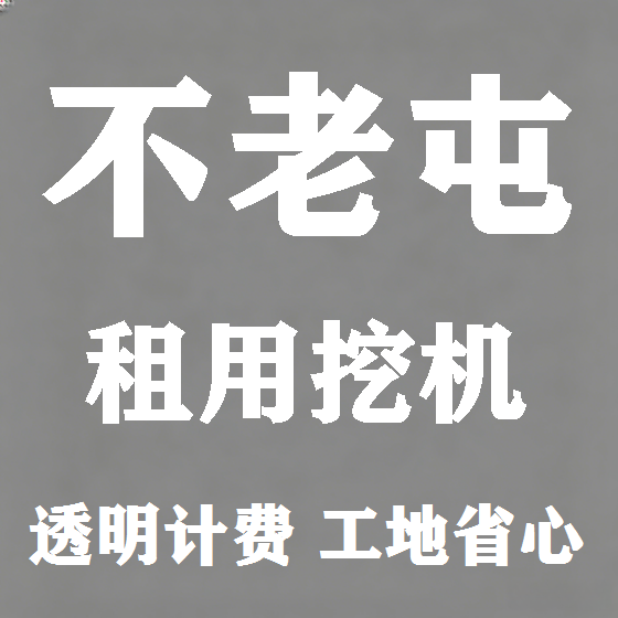 北京不老屯挖机租赁图
