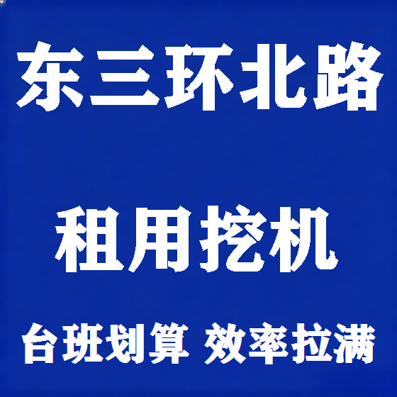 北京东三环北路挖机租赁图