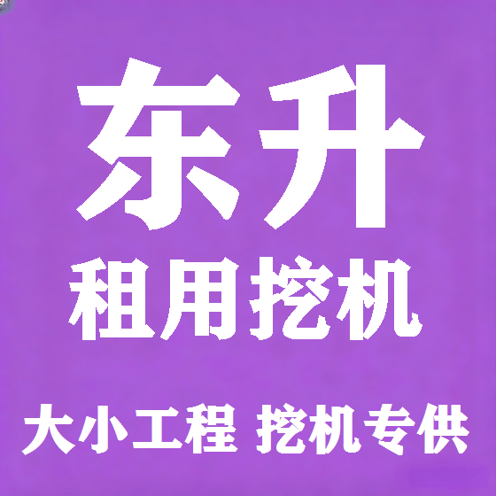 北京东升挖机租赁图