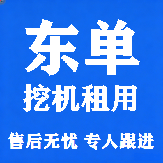 北京东单挖机租赁图
