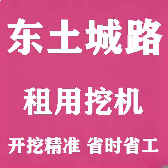 北京东土城路挖机租赁图