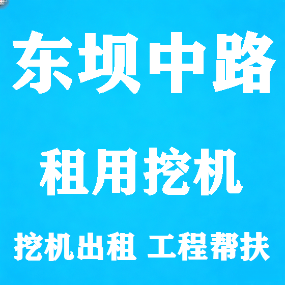 北京东坝中路挖机租赁图