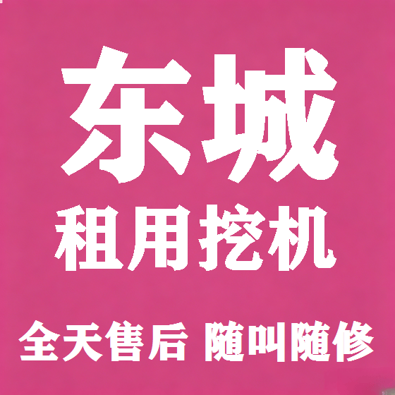 北京东城挖机租赁图