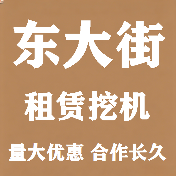 北京东大街挖机租赁图