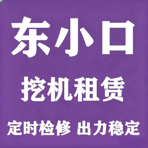 北京东小口挖机租赁图