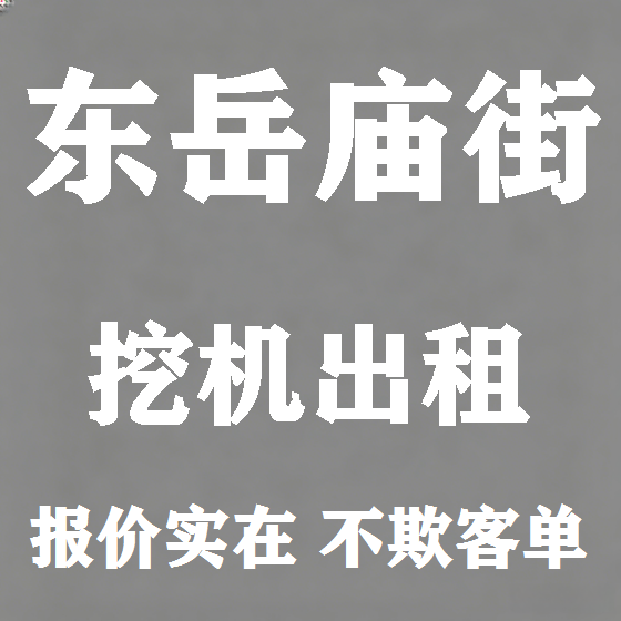 北京东岳庙街挖机租赁图