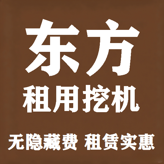 北京东方挖机租赁图