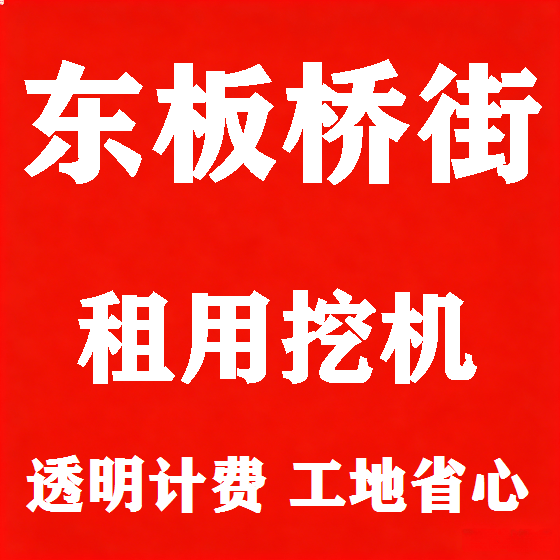 北京东板桥街挖机租赁图