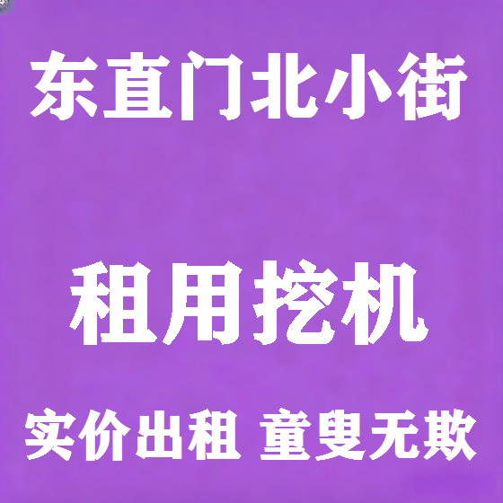 北京东直门北小街挖机租赁图