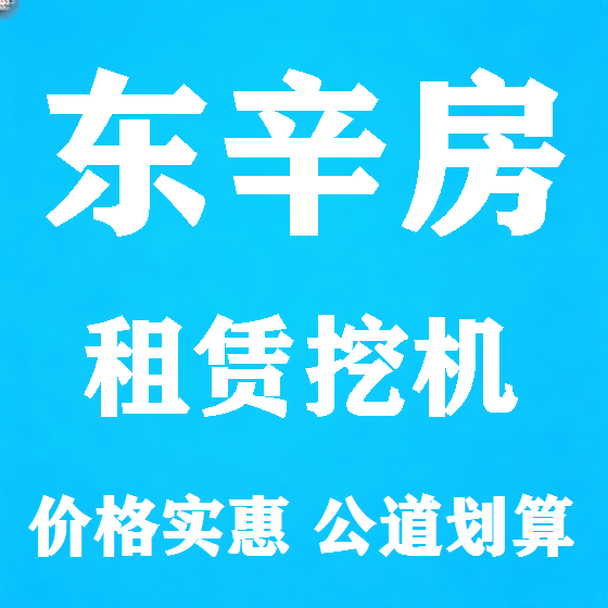 北京东辛房挖机租赁图
