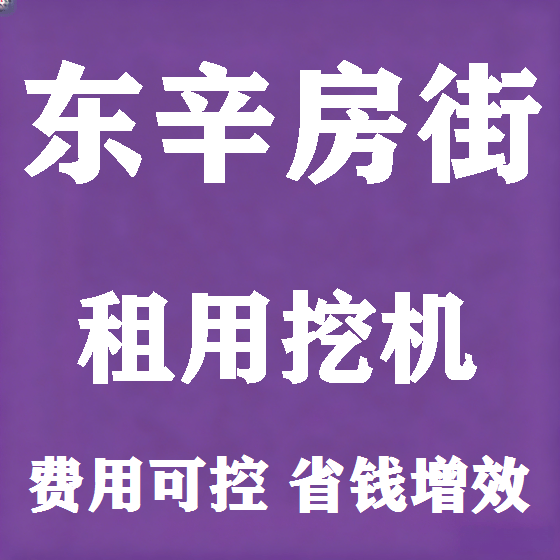 北京东辛房街挖机租赁图