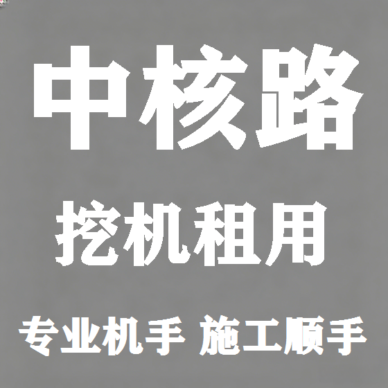 北京中核路挖机租赁图