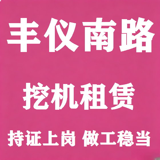 北京丰仪南路挖机租赁图