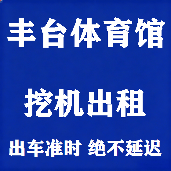 北京丰台体育馆挖机租赁图