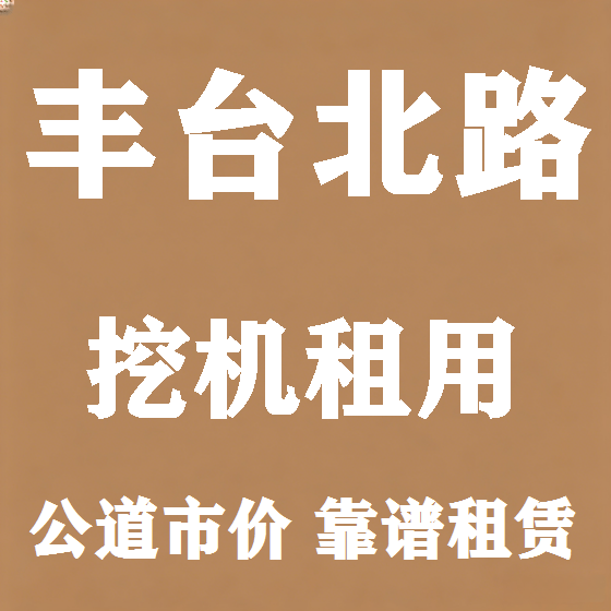 北京丰台北路挖机租赁图