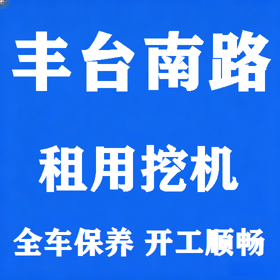 北京丰台南路挖机租赁图